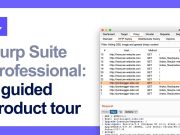 Perbedaan Burp Suite Professional dan Community: Mana yang Lebih Cocok untuk Anda?