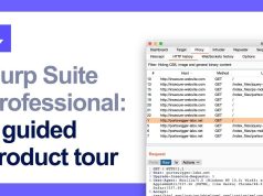 Perbedaan Burp Suite Professional dan Community: Mana yang Lebih Cocok untuk Anda?