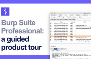 Perbedaan Burp Suite Professional dan Community: Mana yang Lebih Cocok untuk Anda?