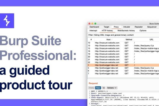 Perbedaan Burp Suite Professional dan Community: Mana yang Lebih Cocok untuk Anda?