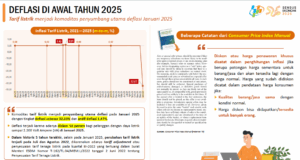 Bahaya deflasi bagi ekonomi indonesia, berdasarkan data 2025 data deflasi indonesia