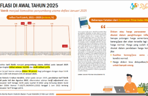 Bahaya deflasi bagi ekonomi indonesia, berdasarkan data 2025 data deflasi indonesia