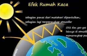 Efek rumah kaca membuat bumi semakin panas
