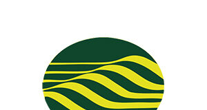 Analisis laporan keuangan PT Bumi Resources Tbk