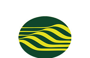 Analisis laporan keuangan PT Bumi Resources Tbk