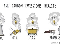Apa Itu Carbon Bonds?