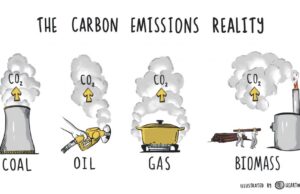 Apa Itu Carbon Bonds?