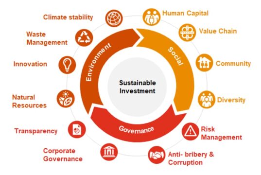 Tata Kelola Perusahaan Berbasis ESG menurut IFC & PWC