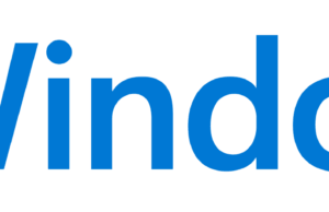 Memilih License untuk Windows 11