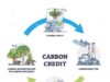 Apa itu karbon kredit, lalu apa benefit bagi perusahaan