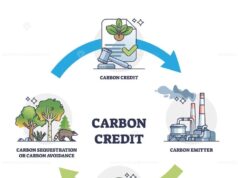 Apa itu karbon kredit, lalu apa benefit bagi perusahaan