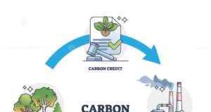Apa itu karbon kredit, lalu apa benefit bagi perusahaan