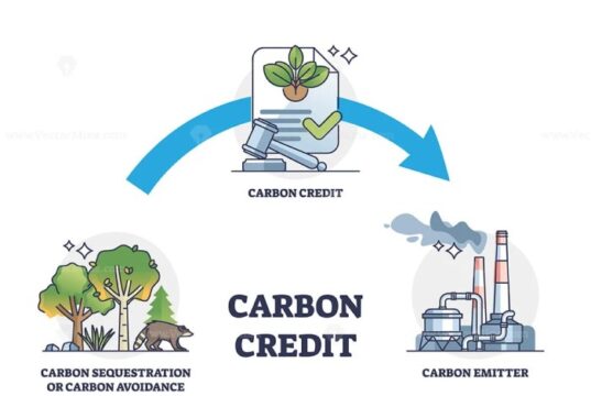 Apa itu karbon kredit, lalu apa benefit bagi perusahaan