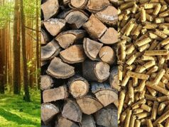 Energi terbarukan ini bisa mencegah terjadinya global warming