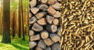 Energi terbarukan ini bisa mencegah terjadinya global warming