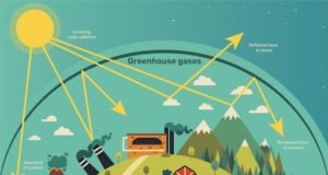 Emisi Gas Rumah Kaca (GRK): Pengertian, Dampak Lingkungan, Dampak pada Masyarakat, dan Bisnis
