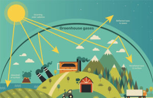 Emisi Gas Rumah Kaca (GRK): Pengertian, Dampak Lingkungan, Dampak pada Masyarakat, dan Bisnis