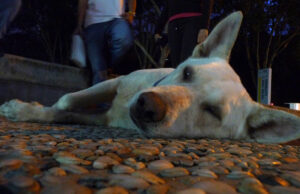 Terobosan Baru dalam Fisika Kuantum: Penelitian Terkini dari arXiv Mengungkap Potensi Komputasi Kuantum Masa Depan